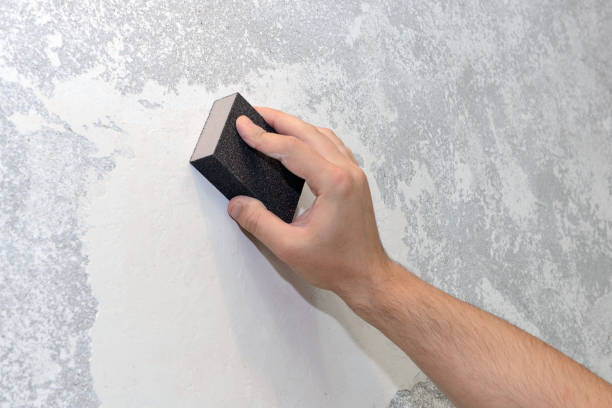 Best Mold Remediation for Healthcare Facilities  in Ebensburg, PA