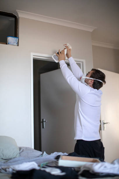 Best Mold Odor Removal Services  in Ebensburg, PA
