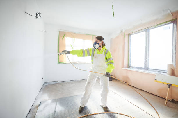 Best Basement Mold Removal  in Ebensburg, PA