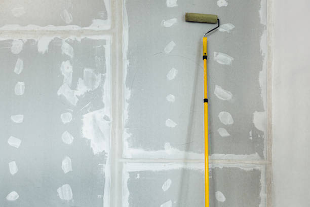 Best Post-Construction Mold Inspection  in Ebensburg, PA