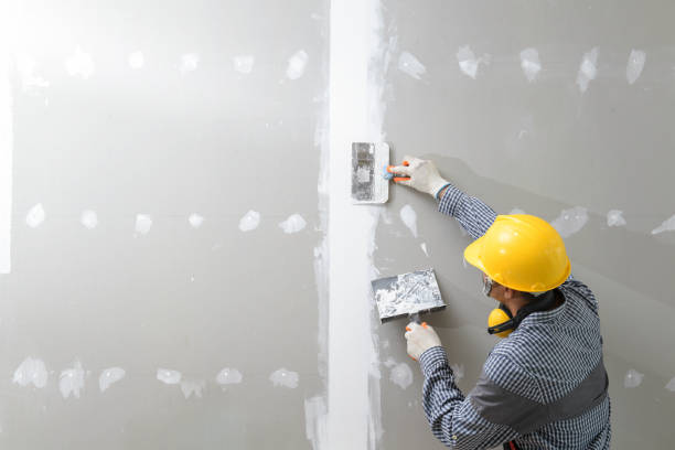 Best Attic Mold Removal  in Ebensburg, PA