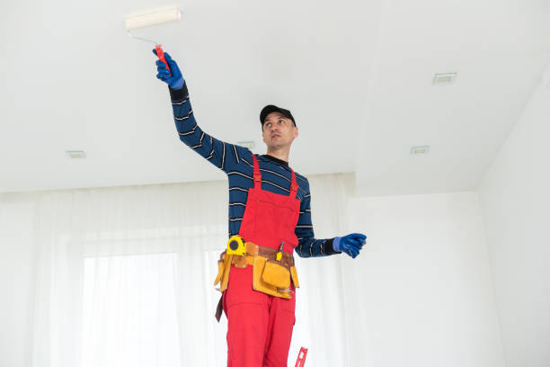 Best Black Mold Removal  in Ebensburg, PA