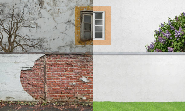 Best Emergency Mold Remediation  in Ebensburg, PA